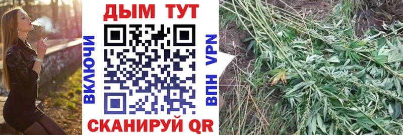 Канабис семена  Купить закладки  Алзамай 