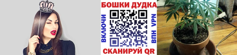 Шишки марихуана сатива Алзамай